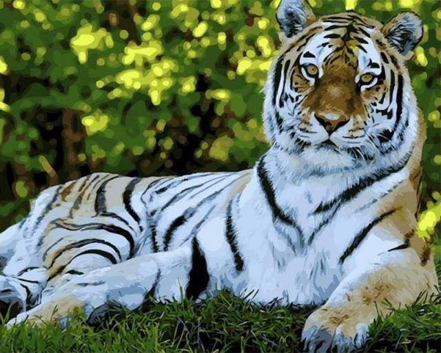 paint by numbers | Tiger Relaxing | animals intermediate tigers | FiguredArt