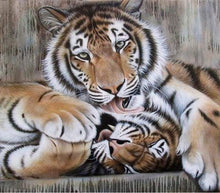 Load image into Gallery viewer, paint by numbers | Tigers | advanced animals tigers | FiguredArt