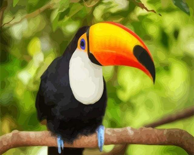 paint by numbers | Toucan | animals birds intermediate parrots | FiguredArt
