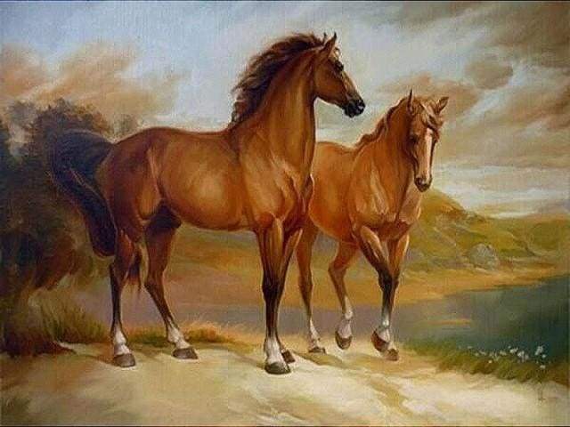paint by numbers | Two Horses by the Water | advanced animals horses | FiguredArt