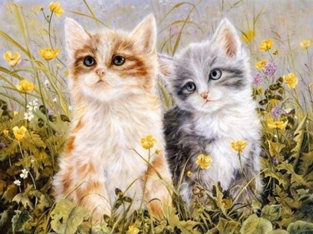 paint by numbers | Two Kittens | animals cats easy | FiguredArt