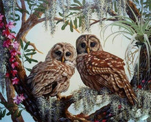 Load image into Gallery viewer, paint by numbers | Two Owls | advanced animals owls | FiguredArt