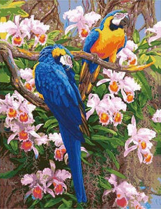 paint by numbers | Two Parrots | advanced animals birds parrots | FiguredArt