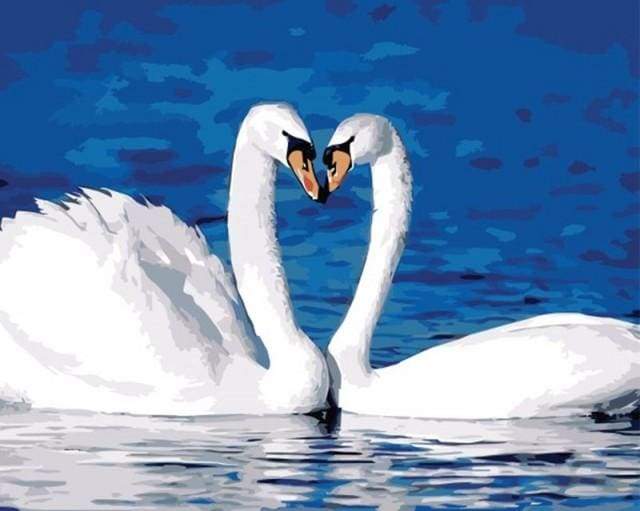 paint by numbers | Two Swans | animals birds easy swans | FiguredArt