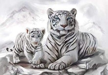 Load image into Gallery viewer, paint by numbers | Two White Tigers | animals intermediate tigers | FiguredArt