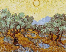Load image into Gallery viewer, paint by numbers | Van Gogh St Remy | advanced famous paintings landscapes new arrivals | FiguredArt