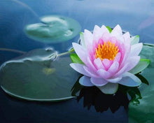 Load image into Gallery viewer, paint by numbers | Water Lily in the Pound | advanced flowers | FiguredArt