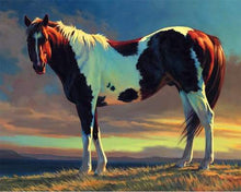 Load image into Gallery viewer, paint by numbers | White and Brown Horse | advanced animals horses | FiguredArt