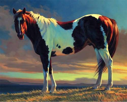 paint by numbers | White and Brown Horse | advanced animals horses | FiguredArt