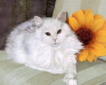 Load image into Gallery viewer, paint by numbers | White Cat and Sunflower | animals cats intermediate | FiguredArt