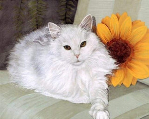 paint by numbers | White Cat and Sunflower | animals cats intermediate | FiguredArt
