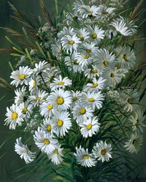 paint by numbers | White Daisy flowers | advanced flowers | FiguredArt