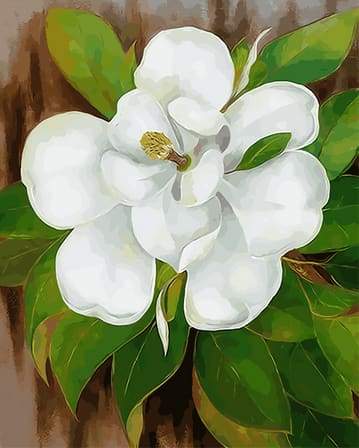 paint by numbers | White Flower and Green Leaves | easy flowers new arrivals | FiguredArt