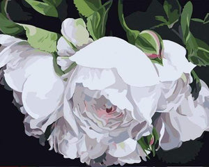paint by numbers | White Flowers Portrait | easy flowers | FiguredArt
