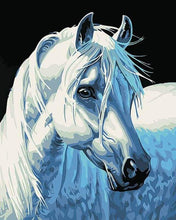 Load image into Gallery viewer, paint by numbers | White Horse Head | animals easy horses | FiguredArt