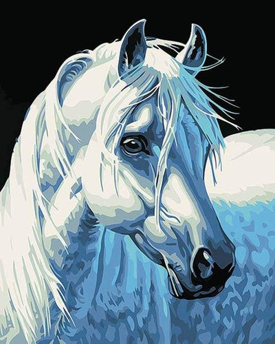 paint by numbers | White Horse Head | animals easy horses | FiguredArt