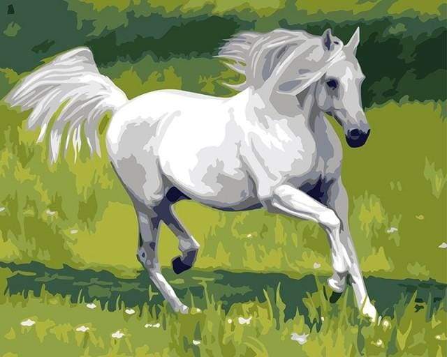 paint by numbers | White Horse in the Field | animals easy horses | FiguredArt