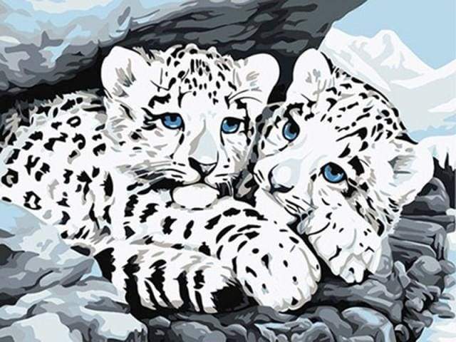 paint by numbers | White Leopards | animals easy leopards | FiguredArt