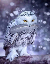 Load image into Gallery viewer, paint by numbers | White Owl | animals intermediate owls | FiguredArt