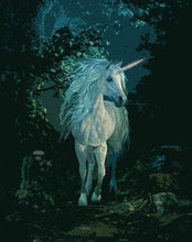 Load image into Gallery viewer, paint by numbers | White Unicorn by Night | advanced animals landscapes unicorns | FiguredArt