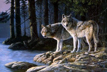 Load image into Gallery viewer, paint by numbers | Wolves in the Forest | advanced animals landscapes wolves | FiguredArt