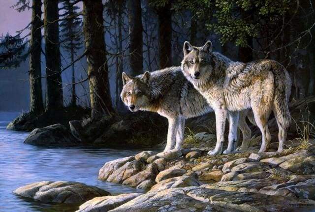 paint by numbers | Wolves in the Forest | advanced animals landscapes wolves | FiguredArt