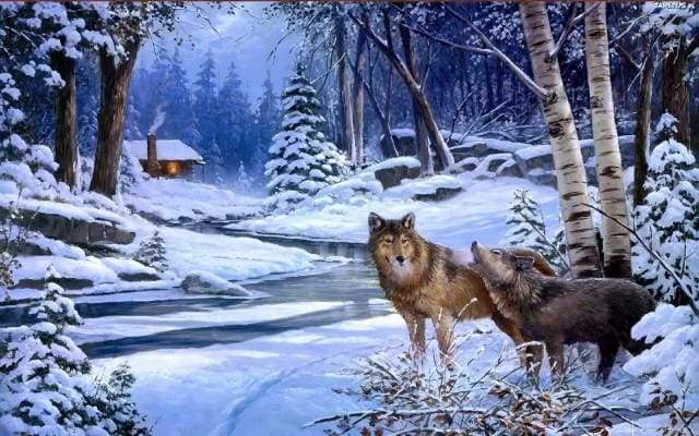 paint by numbers | Wolves near the house | advanced animals wolves | FiguredArt