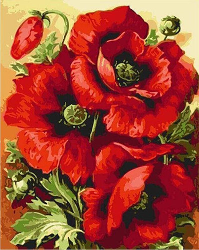 paint by numbers | Wonderful Red Flowers | flowers intermediate | FiguredArt