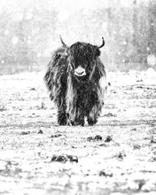 Load image into Gallery viewer, paint by numbers | Yak and Winter Snow | advanced animals bison and yaks | FiguredArt
